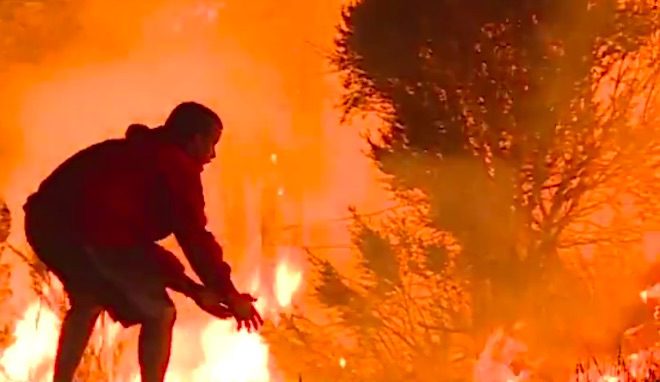 Kind Man Sees Wild Rabbit Caught In Forest Fire, Saves It From The Flames