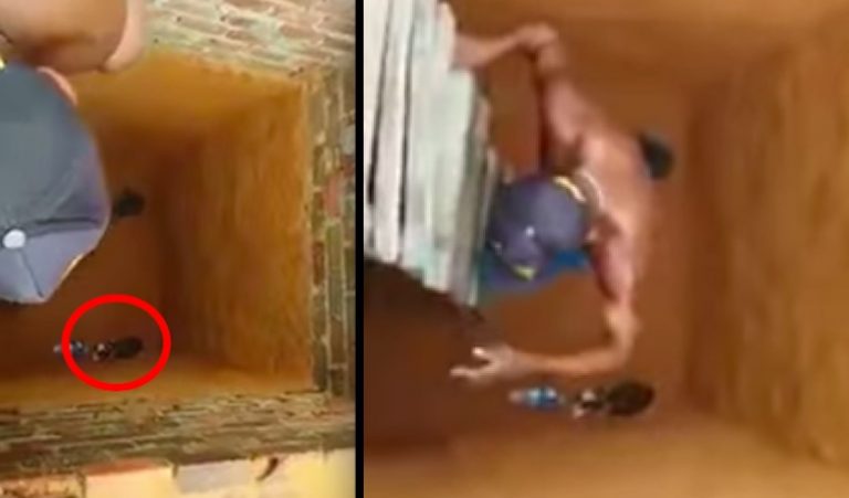 Men Attempt To Rescue A Cat And Get Hilarious Surprise