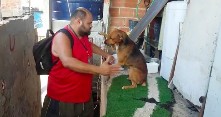 Sweet Dog Gives the Biggest Hug When His Dad Comes Home