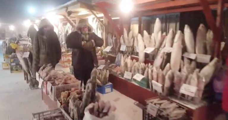 Fish Market In Siberia Reveals Just How Cold It Gets In Winter