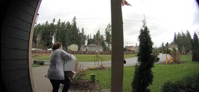 Package Thief Receives Instant Dose Of Karma