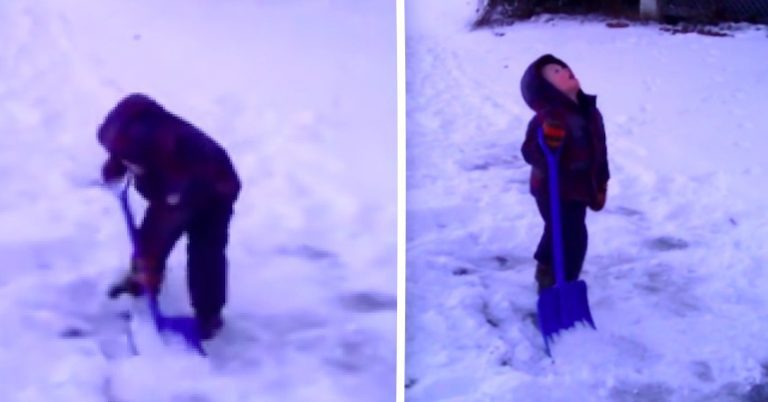Little Boy Makes A Hilarious Plea After Mom Asks Him To Shovel Snow