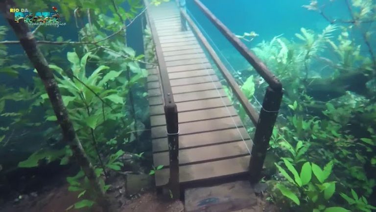 submerged hiking trail in Brazil