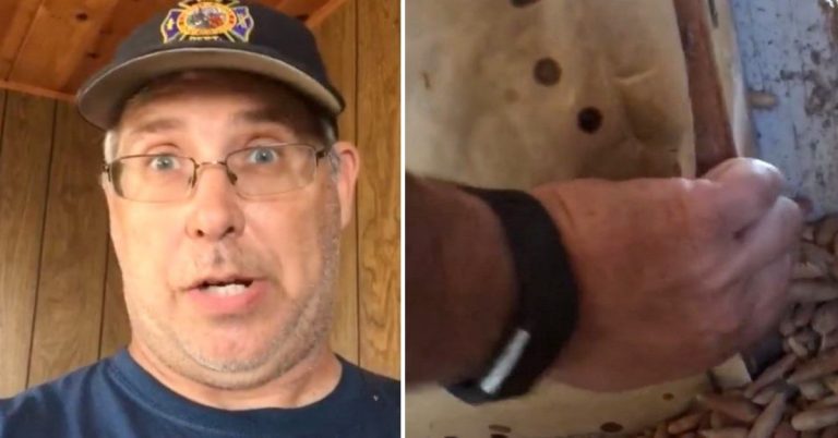 Man Renovating Pool House Finds Hilarious ‘Treasure’ Left Behind By WoodPeckers