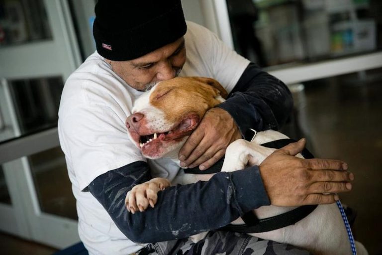 Dog Hugs Dad Who Finally Could Come Back To Shelter And Save Him