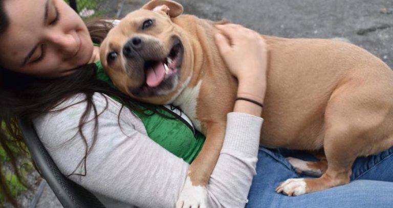 Dog Returned To Shelter For Being ‘Too Nice’ Looking For Snuggle Partner
