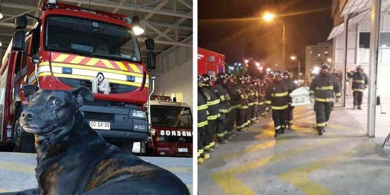 Firefighters Give A Touching Goodbye To Their Beloved Firehouse Dog