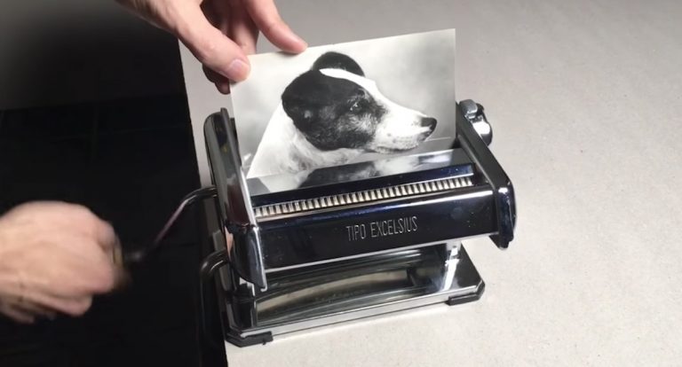 Artist Shreds Photo of A Dog and Turns It into Multiple Photos In Incredible Trick