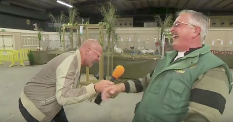 Chicken Farmer Laughing Like A Chicken Makes Reporter Crack Up