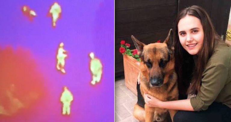 Nearly-Blind Dog Lost In Desert Rescued Thanks To Thermal Drone
