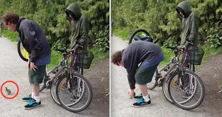 Man Confronts Guy Trying to Steal Canada Goose Gosling From Its Parents In Park