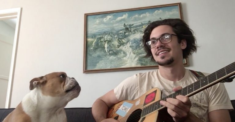 Bulldog Adorably Sings Along While His Dad Plays Guitar
