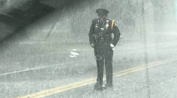 Officer Protects Turtle Crossing The Road In Rain Storm, So Couple Decide To Help