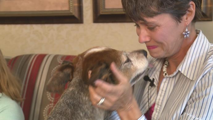 Dog Who Survived in Woods for 3 Years Reunited With Long-Lost Family