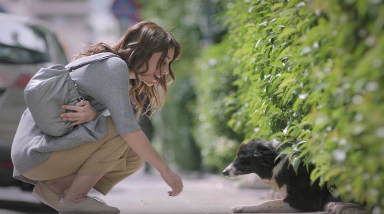 This Advert About A Woman Who Finds A Missing Dog Is Surprisingly Emotional