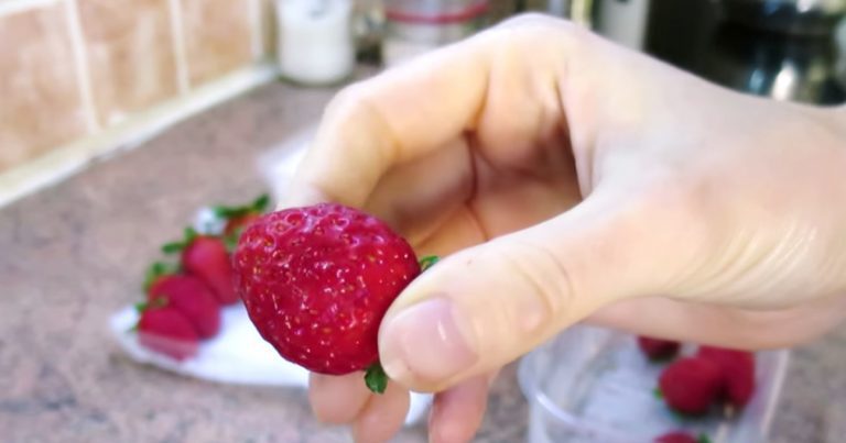 Farmers Reveal Trick On How To Keep Strawberries Fresh For Weeks