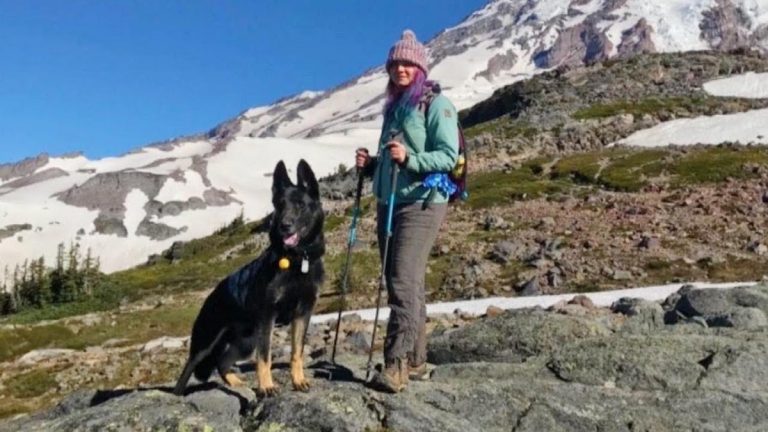 Dog Refuses to Leave Veteran’s Side After She Plummets 300 Feet Down Mountain