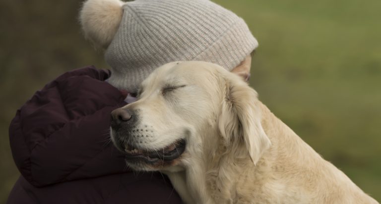 Dog Photographer of the Year Winners Spectacularly Highlight Our Special Bond With Dogs