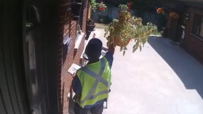Woman Catches Surprising Culprit Feasting On Her Homegrown Tomatoes