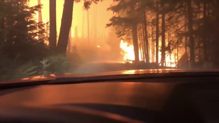Father And Son Drive ‘Through Hell’ Attempting to Escape National Park Wildfire