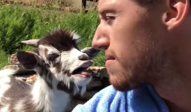 Man Gets Into A Hilariously Sweet Argument With A Baby Goat