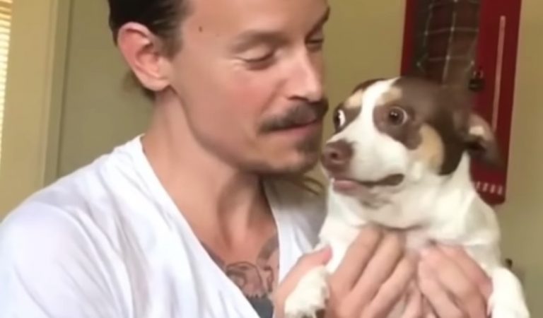 Cute Dog Has Funniest Reaction To ‘I Love You’s’