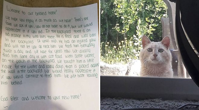 Family Surprised To Learn Their New Home Comes With A Feral Cat
