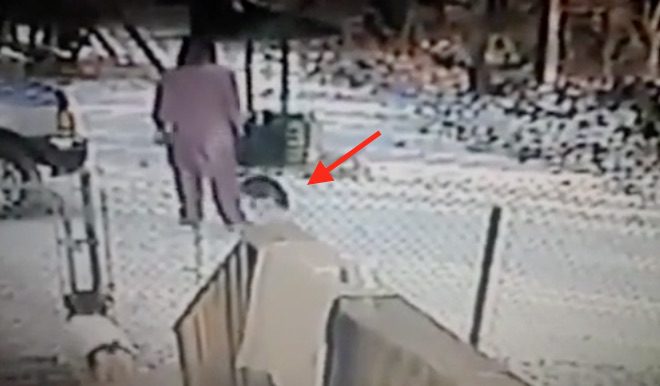 Cat Gets Revenge On Woman Kicking Snow On Her