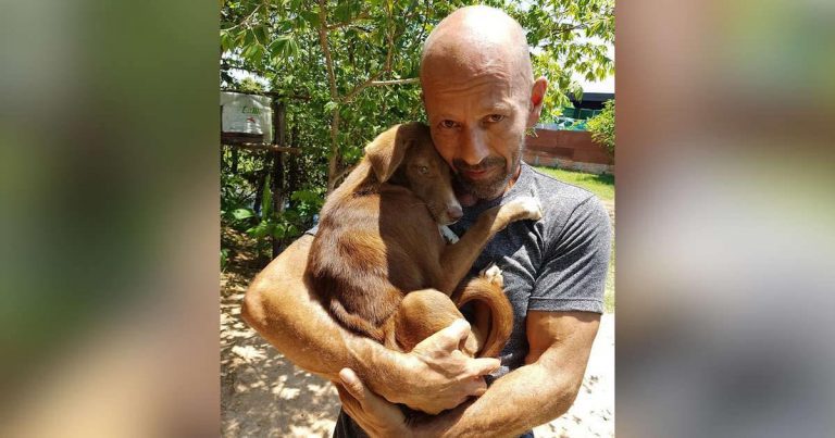 Puppy Won’t Stop Hugging Man Who Saved Her From Slaughterhouse