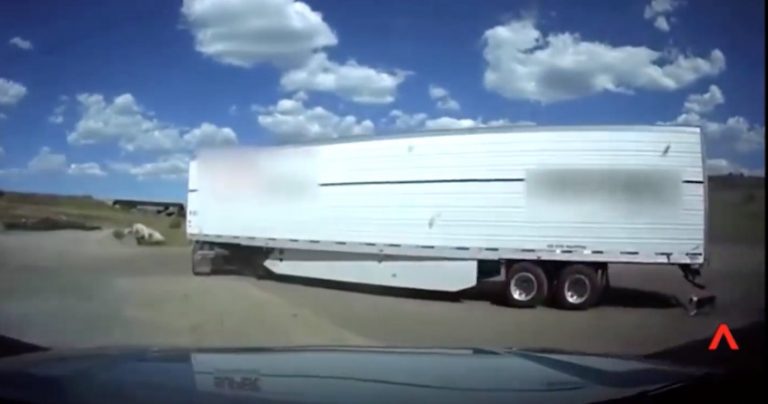 Deputy Saves Dog Leashed To Moving Truck Just In Time