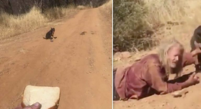Tow Truck Driver Tries Rescuing Dog He Finds On Dirt Road, Ends Up Rescuing Elderly Man