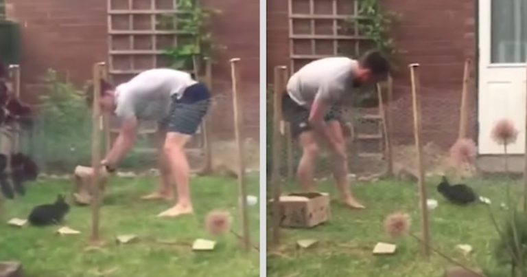 Woman Films Neighbor Trying To Catch Pet Rabbit