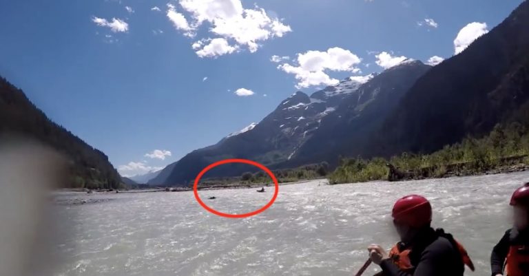 Grizzly Bear Charges Kayaker While He Is Rafting Down A River