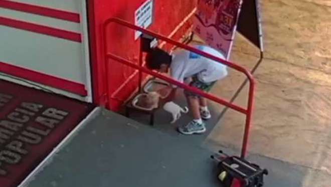 Little Boy Finds Stray Puppy And Carries Him To One Place He Knows He’ll Get Food