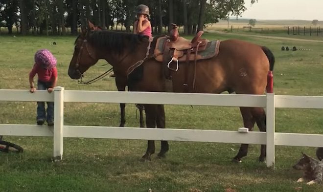 Clever Little Girl Finds Way To Get Back On Horse