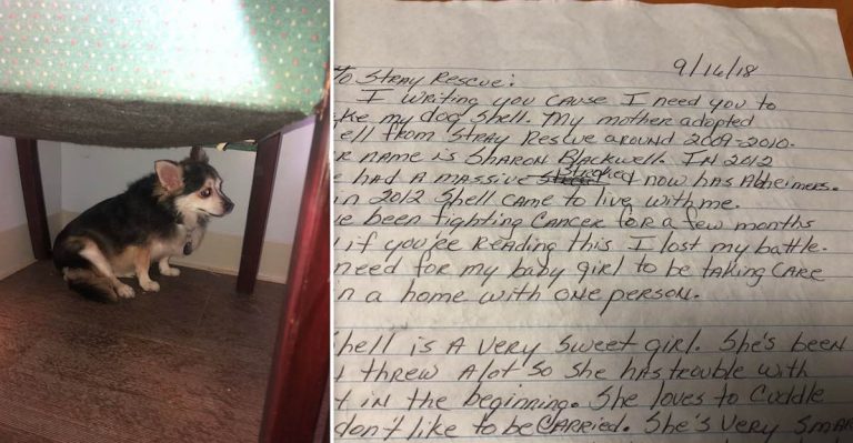 dying woman asks for dog to find home