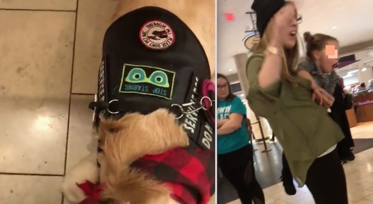 Mother Outraged At  Service Dog Handler After She Refuses To Let Daughter Pet Dog