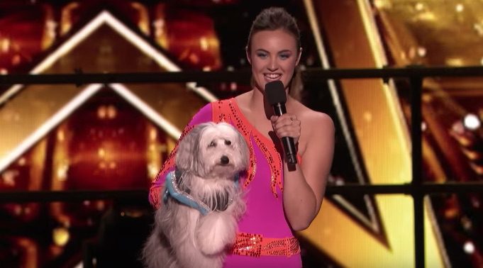 Dog Trainer Ashleigh and Her New Dog Sully Put On Incredible Show On America’s Got Talent: Champions