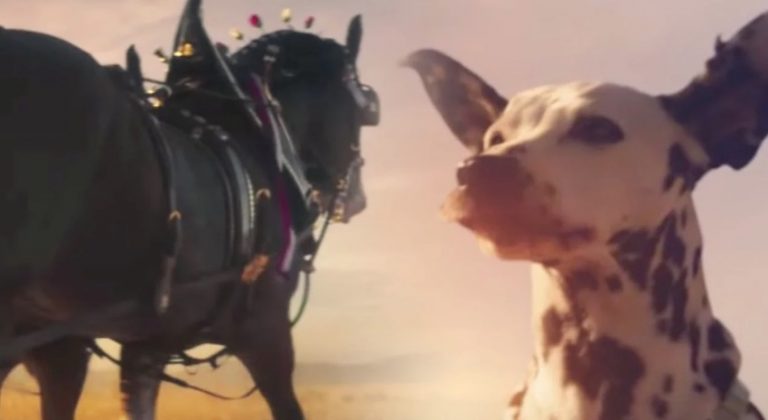 Dalmatian And Clydesdales Highlight Positive Message In Budweiser Super Bowl Ad