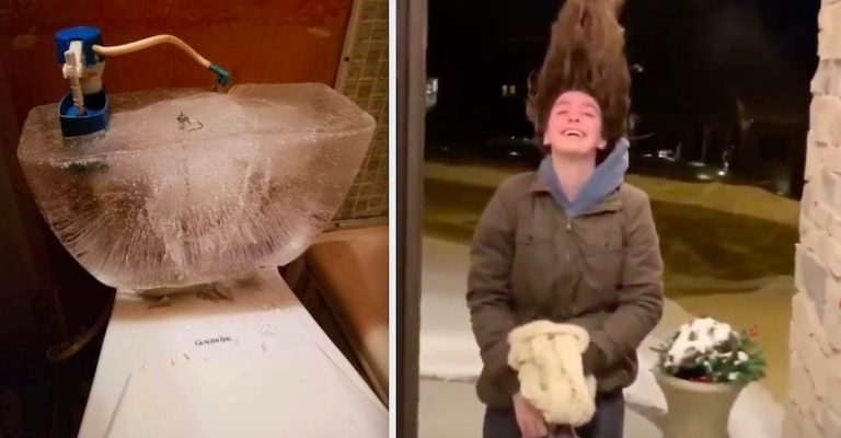 Cold Snap In The Midwest Made Woman’s Hair Stand On End