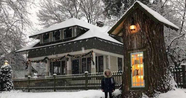 Woman Transforms Rotting Tree In Her Yard Into Charming Neighborhood Library