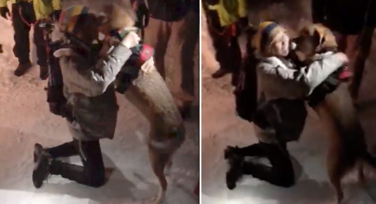 Woman Has Emotional Reunion With Dog Rescued From Avalanche