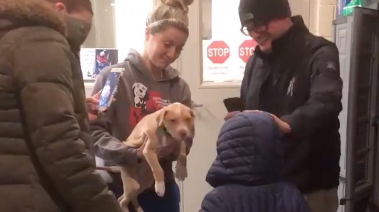 Parents Surprise Their Son With Puppy At Animal Shelter After Their Dog Passed Away