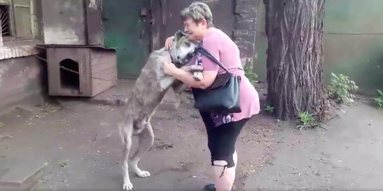 Rescuers Cry ‘Tears Of Joy’ As Long Lost Dog Reunites With His Mom