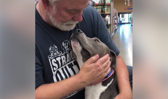 Shelter Dog Shows How Grateful He Is For Hug From Volunteer