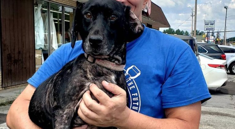 Salvation Army Worker Finds Dog Abandoned Inside Bag of Donations