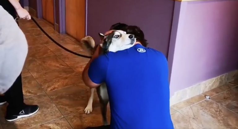 Man Reunites With Lost Dog After 4 Long Years
