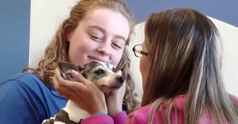 Woman Reunites With Her Lost Dog 12 Years After She Went Missing