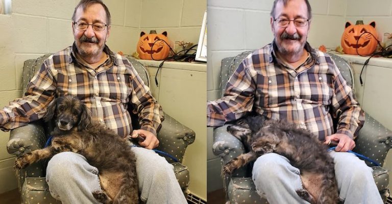 Man Asks Shelter To See Old Dog To Adopt, Dog’s Reaction Couldn’t Be Sweeter