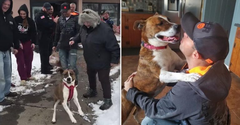 Dog Adopted After 500 Days In Shelter Gets Heartwarming Send-Off